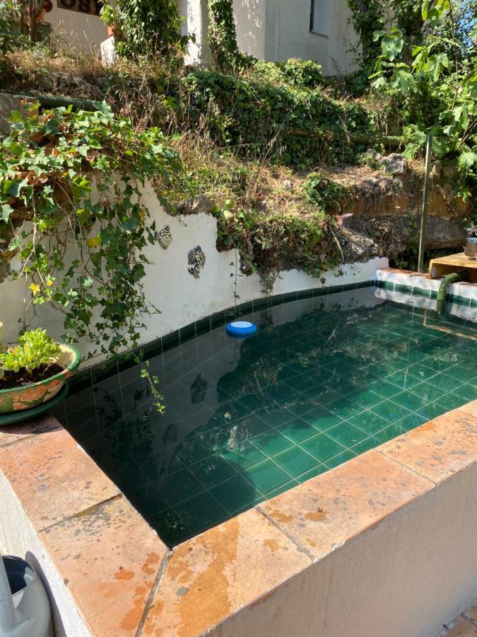 La Mahasiah Villa Puget-sur-Argens Eksteriør billede